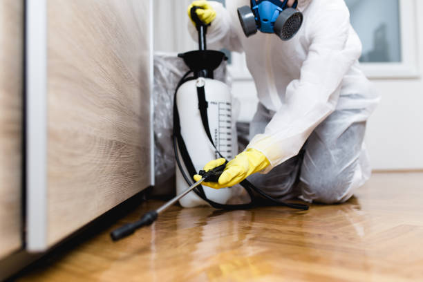 Reliable Miami, FL Pest Control Solutions