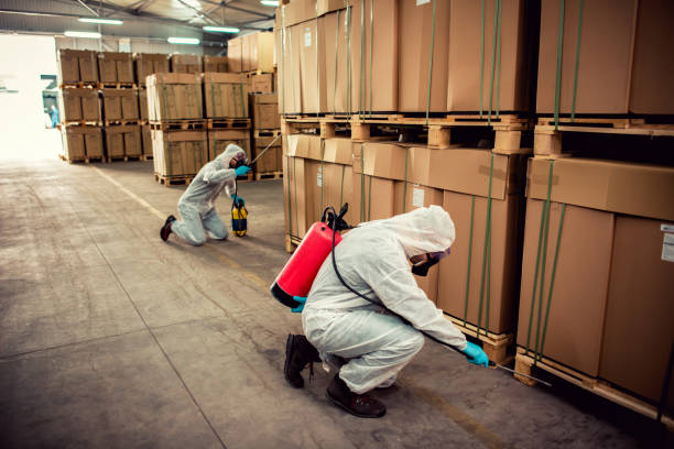 Best Best Pest Control Companies  in Miami, FL