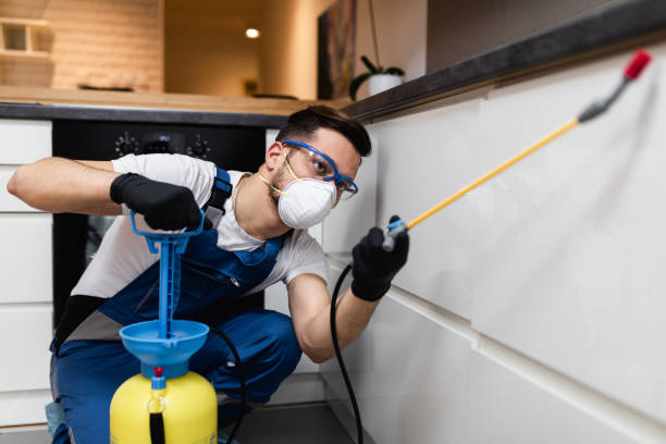 Best Pest Prevention Services  in Miami, FL