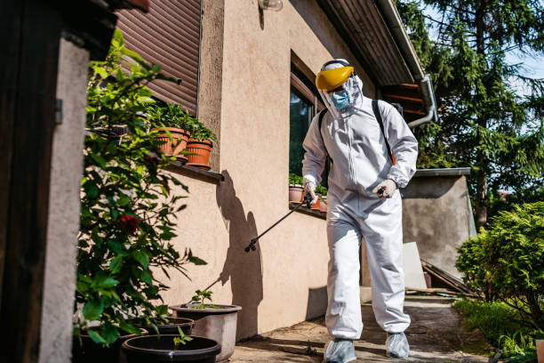 Best Best Pest Control Companies  in Miami, FL