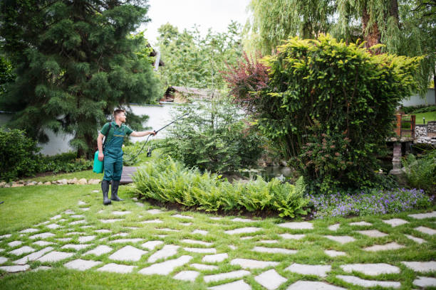 Best Local Pest Control Services  in Miami, FL