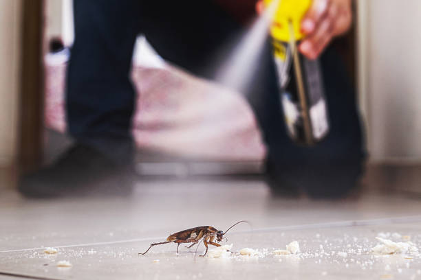 Best Pest Control Near Me  in Miami, FL