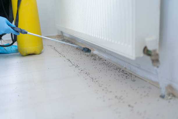 Best Pest Prevention Services  in Miami, FL