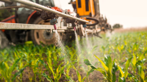 Best Commercial Pest Control Services  in Miami, FL